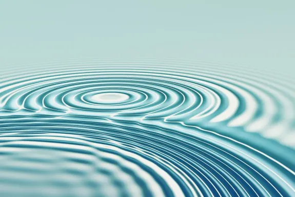 בטבירד קזינו תמיכה